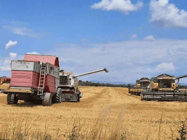 Agrotechnika 2