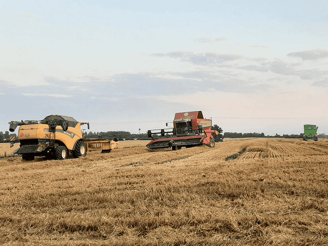 Agrotechnika 2