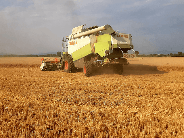 Agrotechnika 2