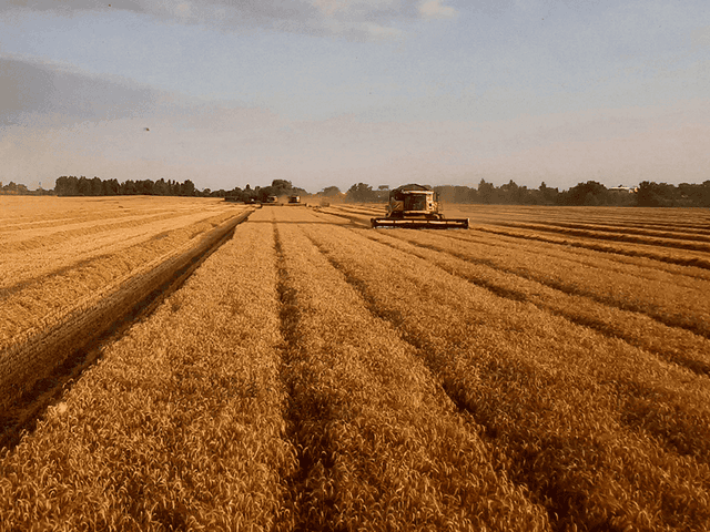 Agrotechnika 2